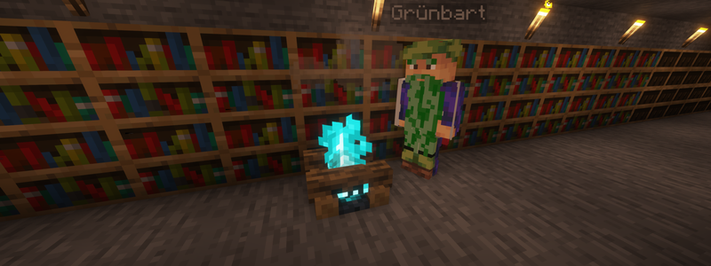 Der Magier Grünbart in seiner Bibliothek in Cartstone